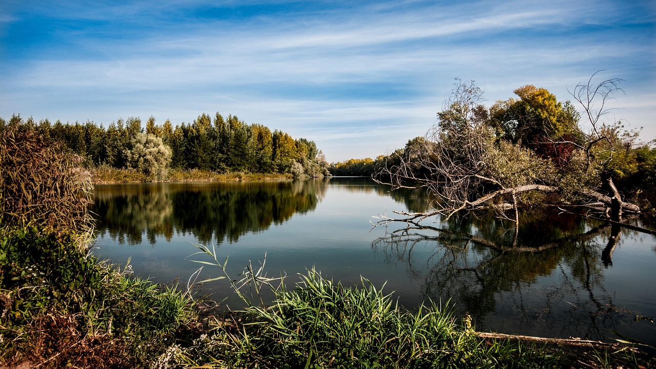 Panorama del fiume Po vicino a Cremona, con vegetazione lussureggiante e paesaggi suggestivi.