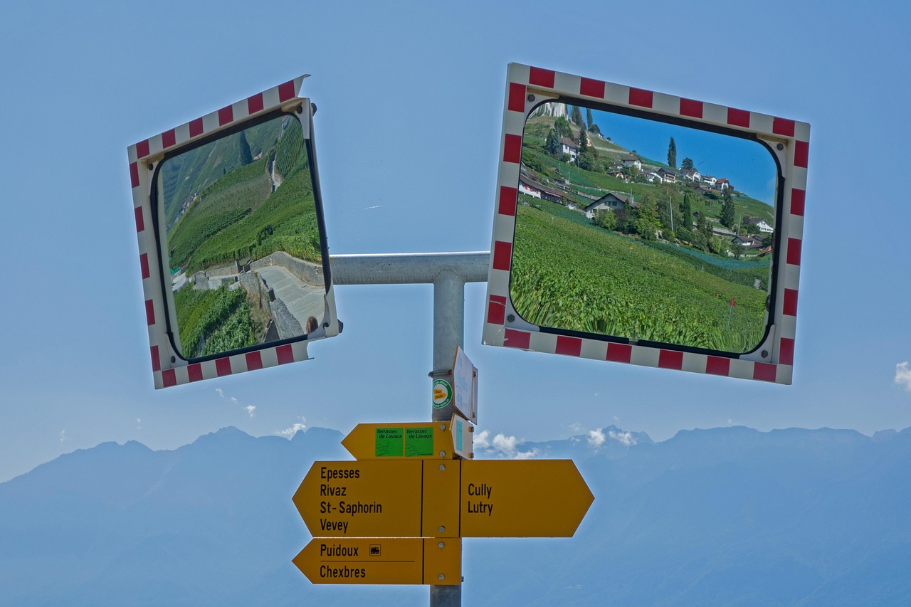 Viaggiatore in Svizzera osserva paesaggio alpino, riflettendo su errori comuni da evitare.