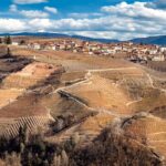 Panorama mozzafiato del Piemonte con colline verdi e vigneti, simbolo della sua bellezza e attrattiva turistica.