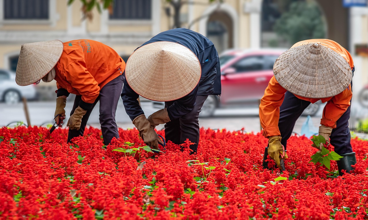 Lavoratori stagionali che discutono strategie per coprire buchi contributivi nella pensione.