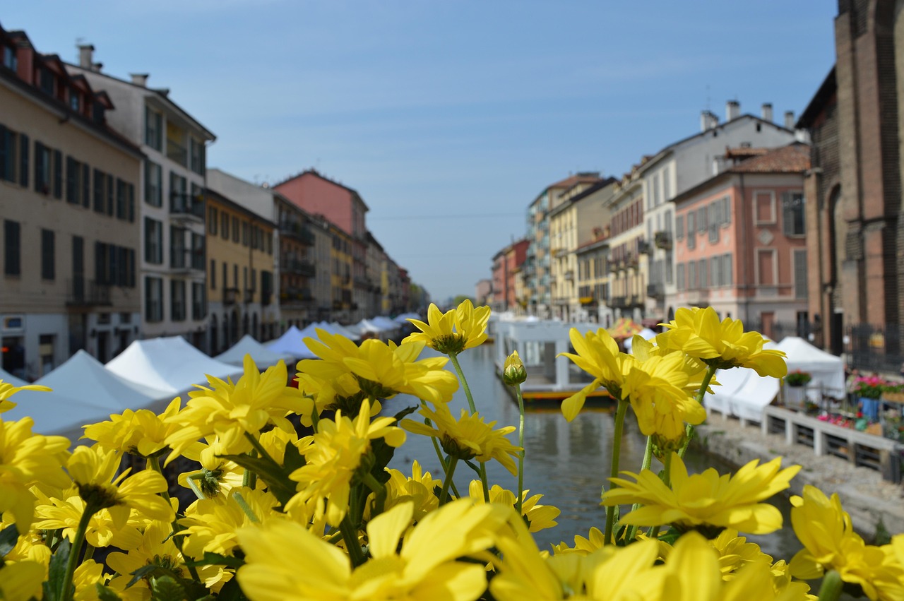 Borgo veneto immerso nella natura, con fiori di campo che sbocciano al mattino.