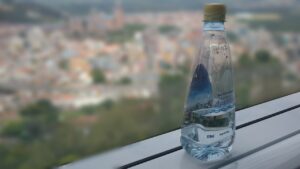 Immagine di bottiglie d'acqua con etichetta 'Bonus Acqua' per famiglie.